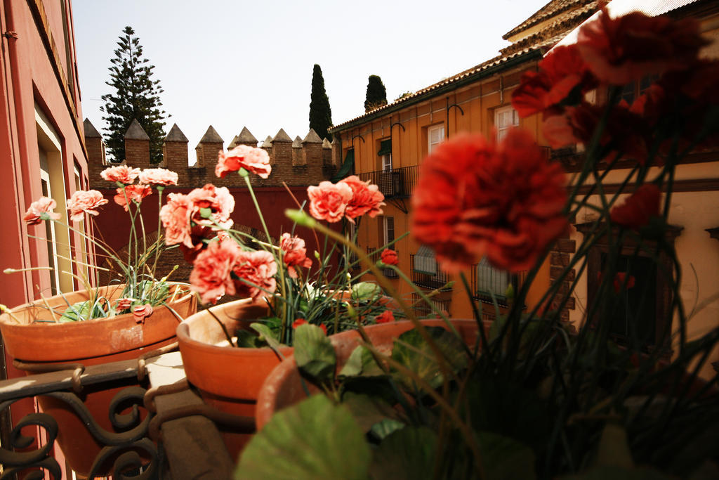 Hostal Van Gogh Sevilla Exterior foto