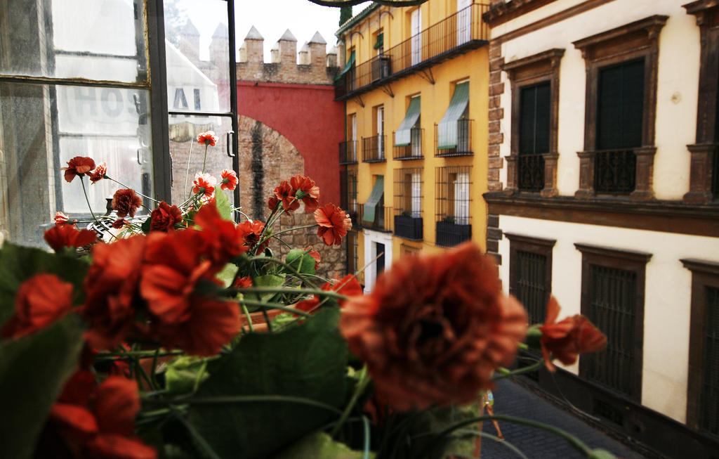 Hostal Van Gogh Sevilla Exterior foto